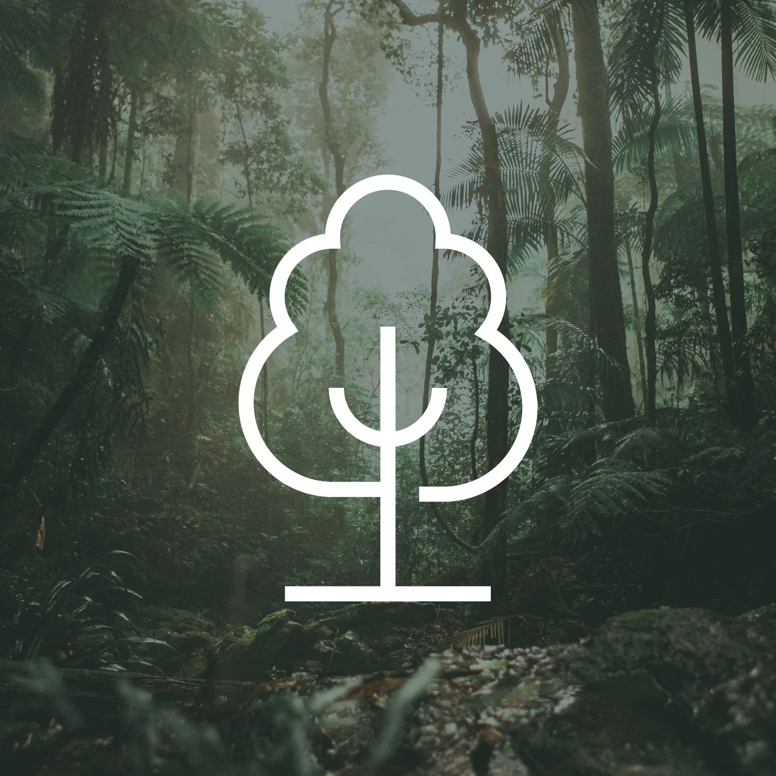 1 Tree Planted via THG (More Trees) 圖片 1